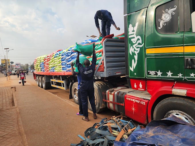 Workers loading sacks of rice onto a truck for delivery
